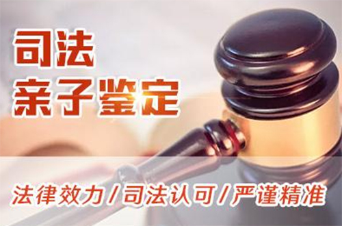 福州司法亲子鉴定需要怎么做,福州司法DNA鉴定哪里办理