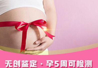 福州怀孕11周能办理怀孕亲子鉴定吗,福州做无创孕期亲子鉴定如何收费 福州怀孕11周能办理怀孕亲子鉴定吗,福州做无创孕期亲子鉴定如何收费